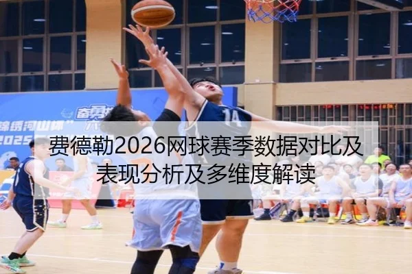 费德勒2026网球赛季数据对比及表现分析及多维度解读